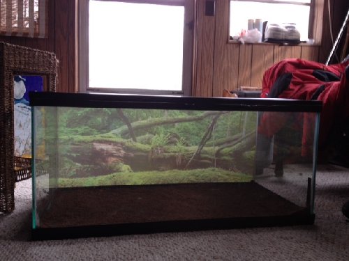 photo.JPG (108.23 KB) Viewed 238 times photo.JPG