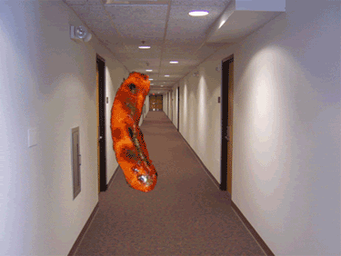 hotdog down a hallway.gif