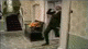 basil2.gif