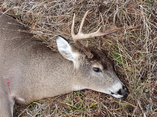 20121103_094009.jpg