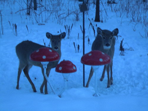 DSCN2751.JPG