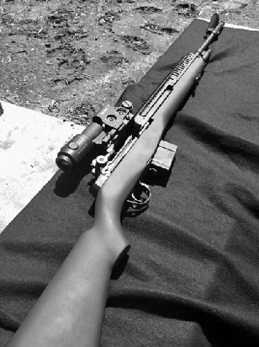 M1AVltorBW.jpg