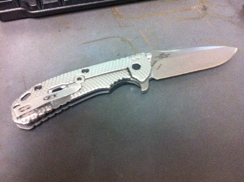 ZT0560.JPG