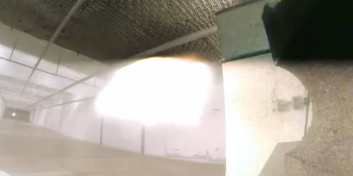 Mosin flash.jpg