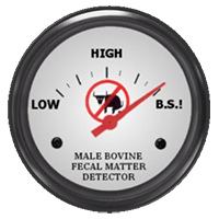 bs-detector.png