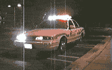 vic.gif