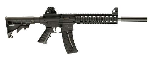 swrifle-large.gif