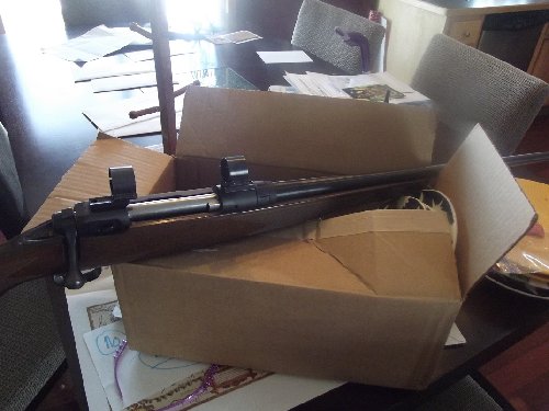 savage bolt action.JPG