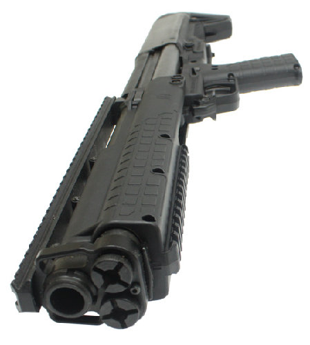 ksg_4.jpg