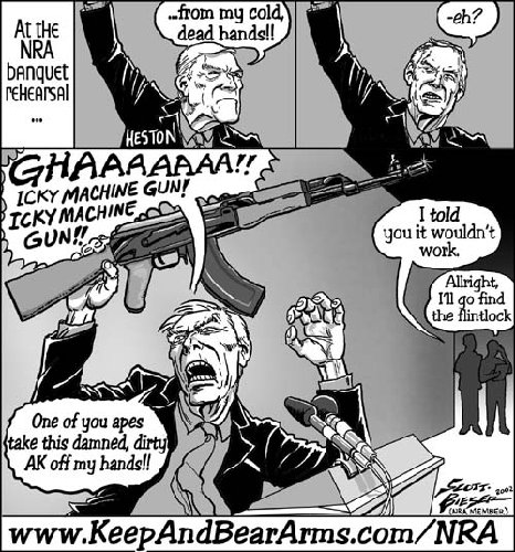 ak-heston_500w.jpg