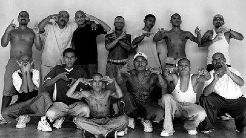 ms-13.jpg