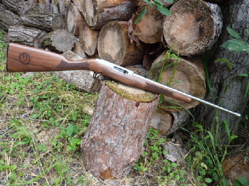 Ruger 1022 classic V Altamont Talo 008.JPG