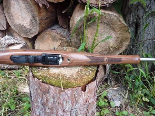 Ruger 1022 classic V Altamont Talo 007.JPG