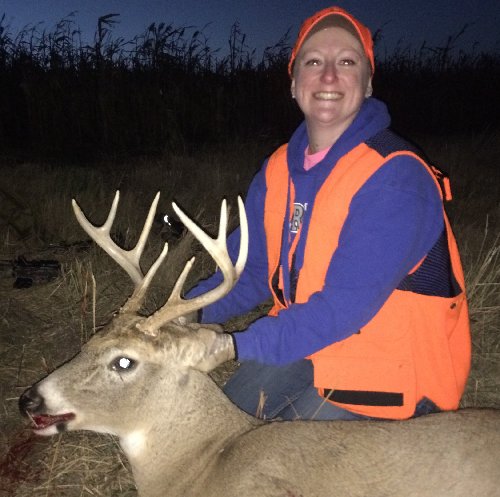 IMG_0380.JPG (891.9 KB) Viewed 424 times IMG_0380.JPG