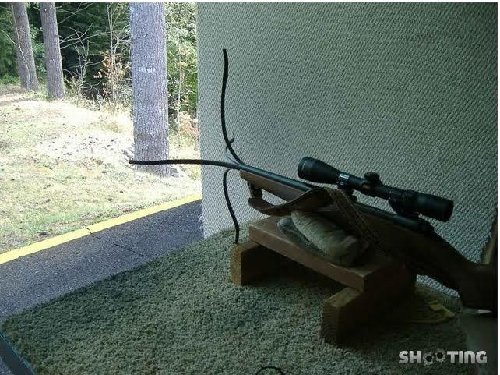 Bad Rifle 4.jpg