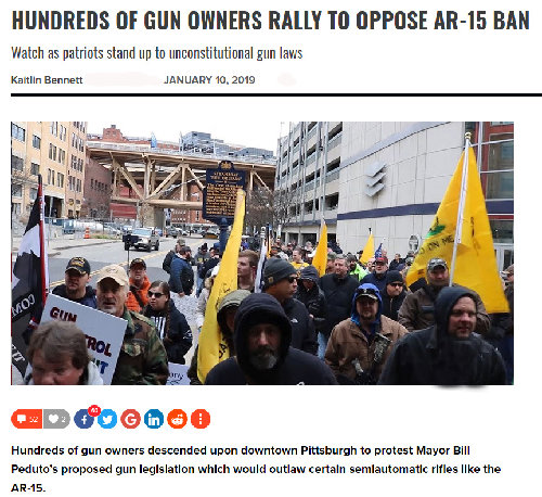 Gun Owners Protest.jpg