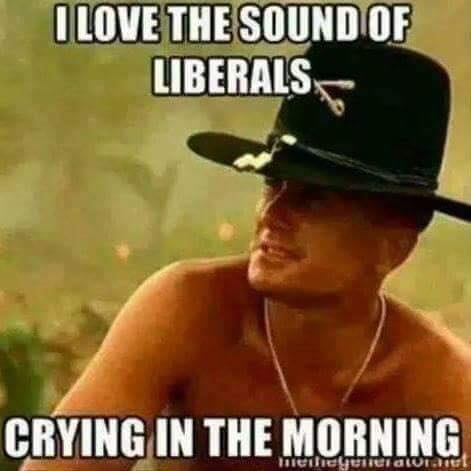 Liberals Crying in the morning.jpg