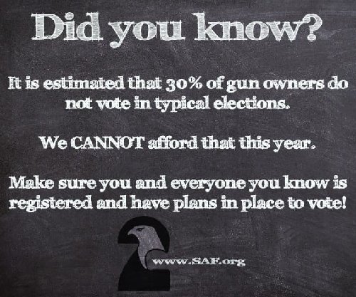 VOTE Gun Owners.jpg