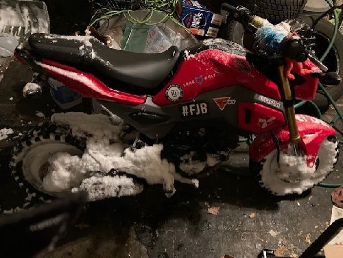 Snow Grom.jpg