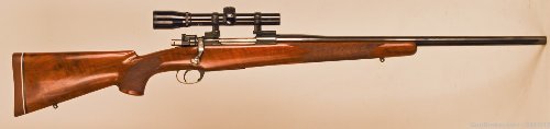 Siamese Mauser 45-70.jpg