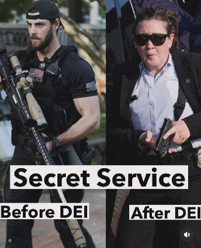Secret Service DEI.jpg