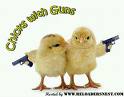 chicks.jpg