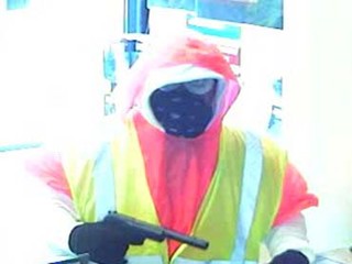 082009Robber7.jpg