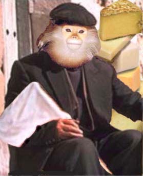 france-monkey.jpg