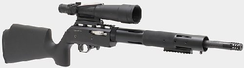 239-fusion-w-trijicon-acog.jpg