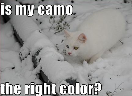 camocolor.jpg