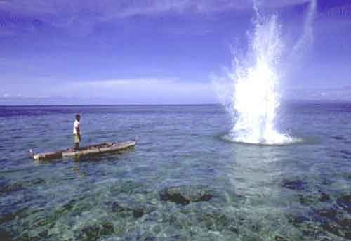 dynamite_reef_1.jpg