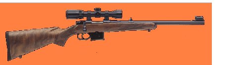 CZ 7.62 X 39 carbine.JPG