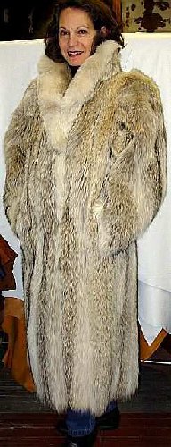 fur_coat_coyote_001.jpg