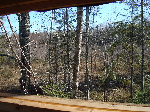 DSC01383.JPG