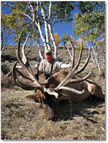 2010-elk.jpg