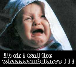 wambulance0eo2sf.jpg