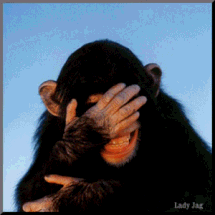 again1.gif
