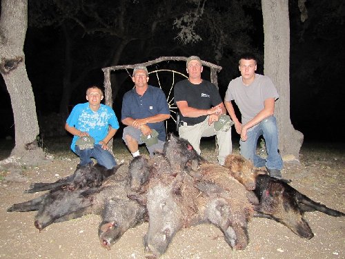 hogs.jpg